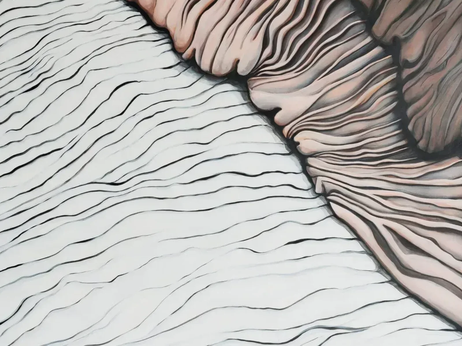 Flowing Lines form and proportions
