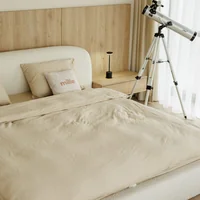 Belagio B5 Platform Bed view 3