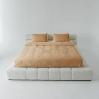 Nao N4 Smart Heated Platform Bed view 2