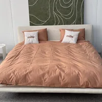Sandia W1 — view 3