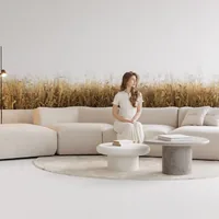 Cloud C1 — view 2
